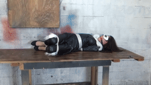 www.leagueofamazingwomen.com - Cat Burgle Backfire! New 10/7/26 thumbnail